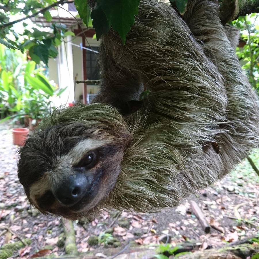 Casa Verde, カウイータ エクステリア 写真